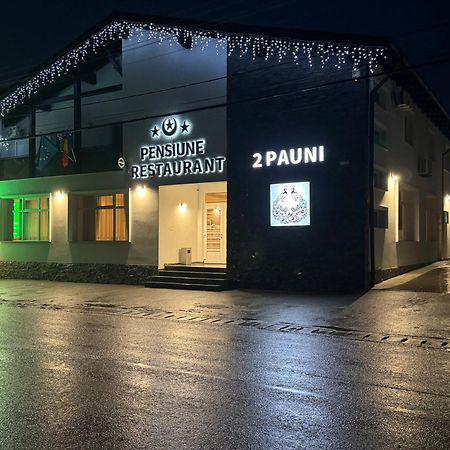 Pensiune Restaurant Pizzerie 2 Pauni Борша Экстерьер фото